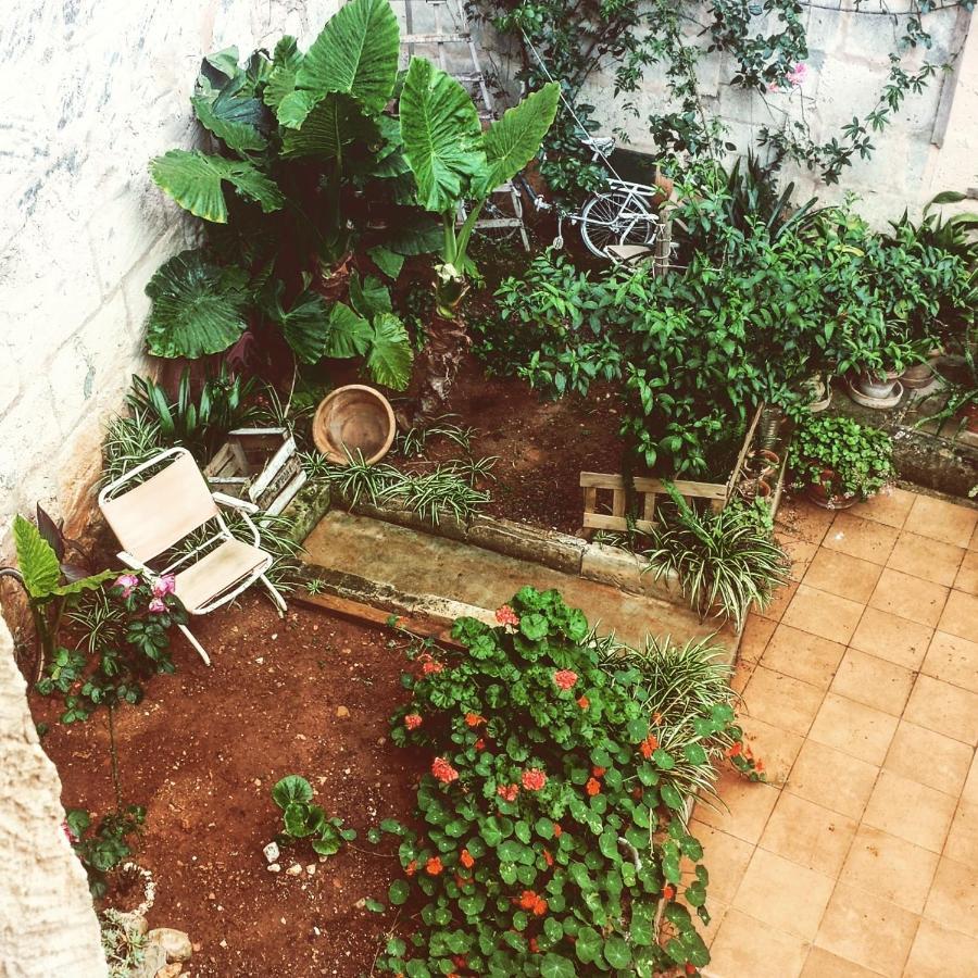 Bed and Breakfast Sa Madona de sa Pleta Muro Exterior foto